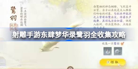 17120425335cBI.jpeg